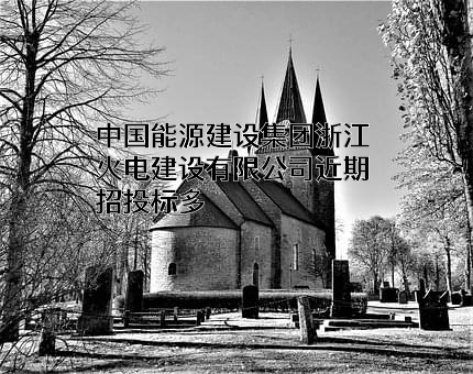 中国能源建设集团浙江火电建设有限公司