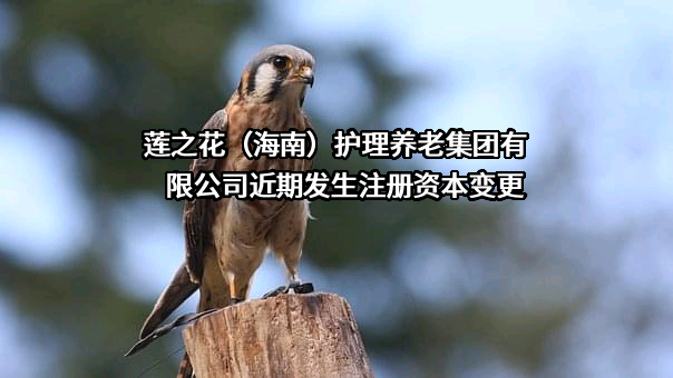 莲之花（海南）护理养老集团有限公司近期发生注册资本变更
