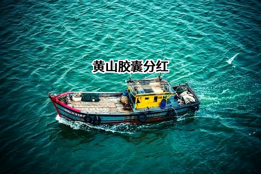 安徽黄山胶囊股份有限公司