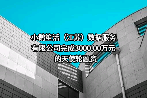 小鹅笙活（江苏）数据服务有限公司完成3000.00万元的天使轮融资