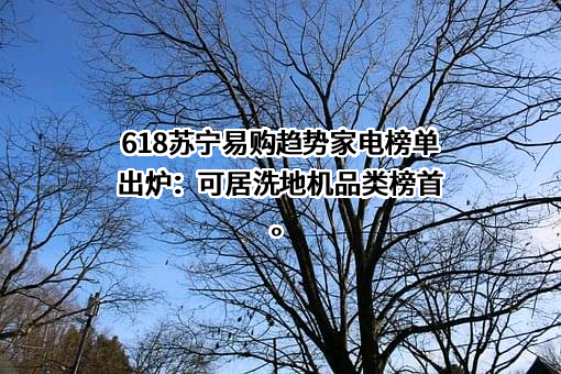 苏宁易购集团股份有限公司