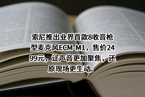索尼（中国）有限公司