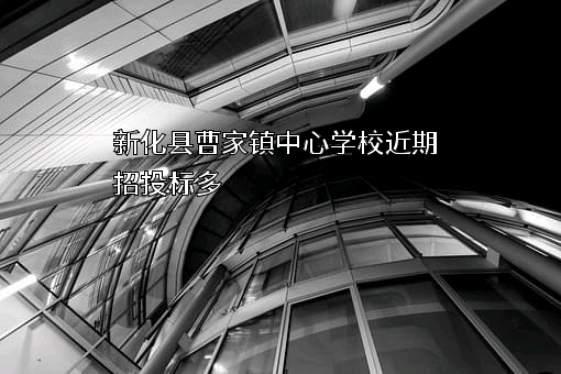 新化县曹家镇中心学校