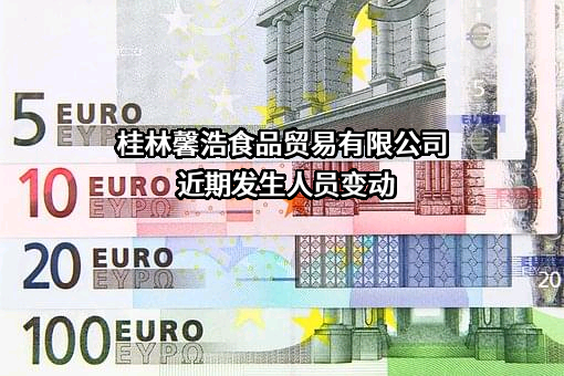 桂林馨浩食品贸易有限公司