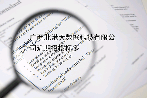 广西北港大数据科技有限公司