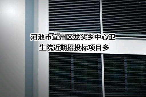 河池市宜州区龙头乡中心卫生院近期招投标项目多