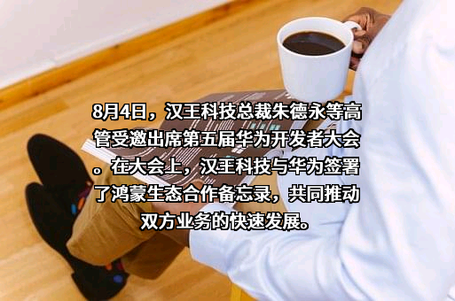 华为技术有限公司