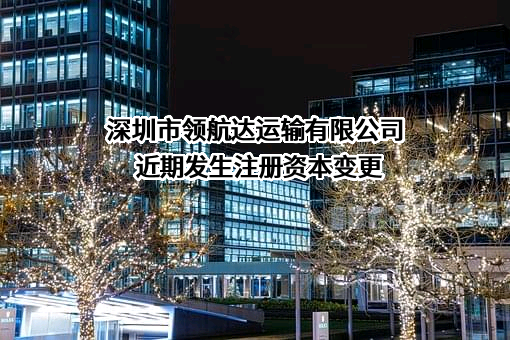 深圳市领航达运输有限公司