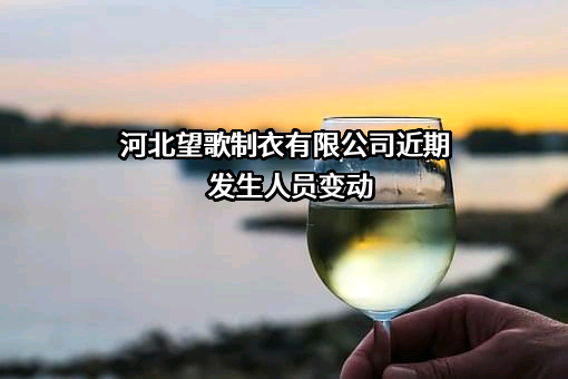 河北望歌制衣有限公司