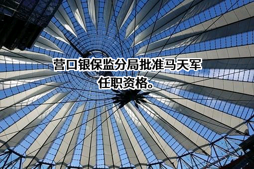 营口宏诚村镇银行股份有限公司