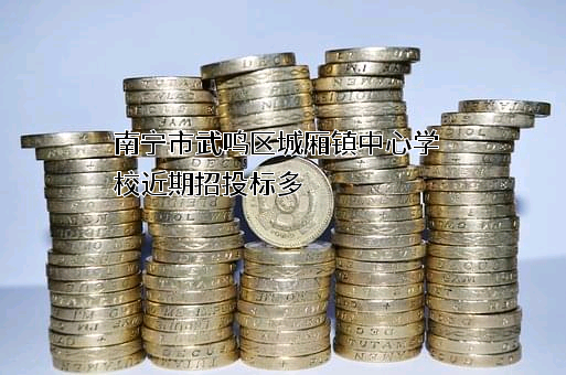 南宁市武鸣区城厢镇中心学校