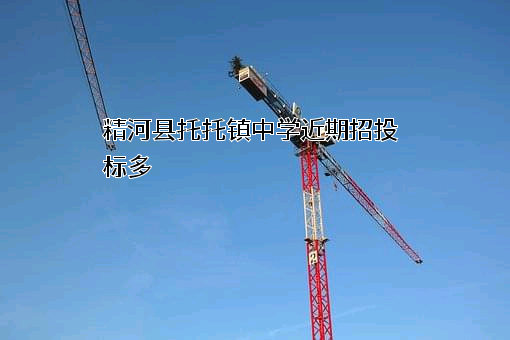 精河县托托镇中学