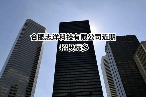 合肥志洋科技有限公司近期招投标项目多