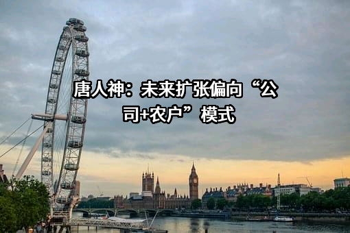 唐人神集团股份有限公司