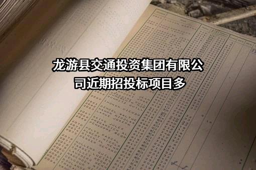 龙游县交通投资集团有限公司