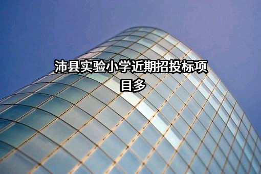 沛县实验小学