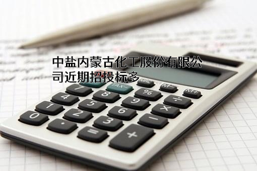 中盐内蒙古化工股份有限公司