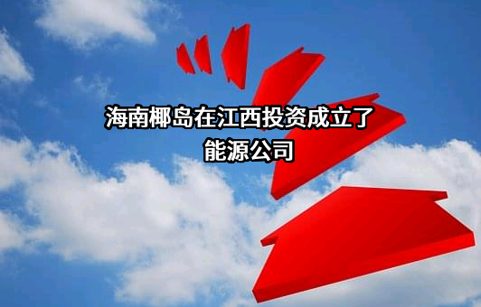 海南椰岛（集团）股份有限公司