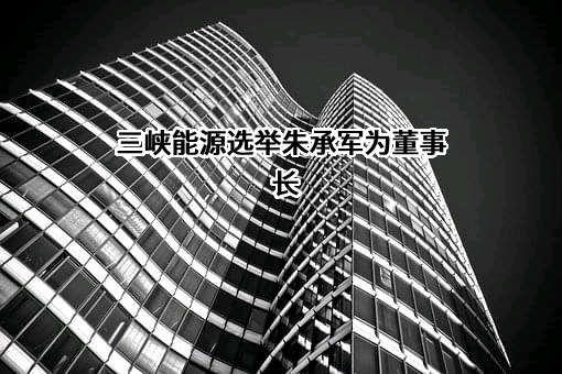 中国三峡新能源（集团）股份有限公司