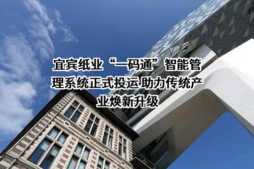 宜宾纸业股份有限公司
