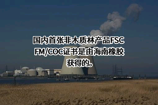 海南天然橡胶产业集团股份有限公司