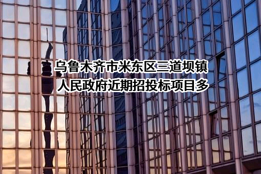 乌鲁木齐市米东区三道坝镇人民政府