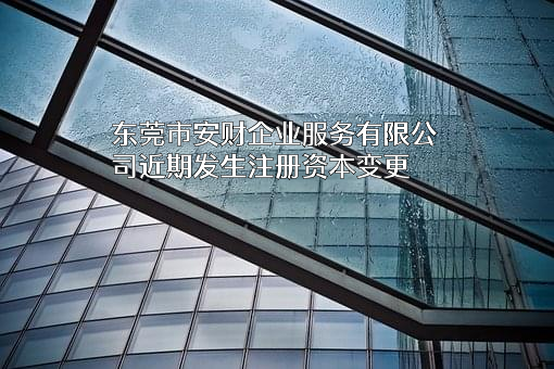 东莞市安财企业服务有限公司