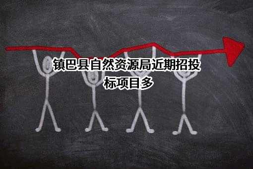 镇巴县自然资源局近期招投标项目多
