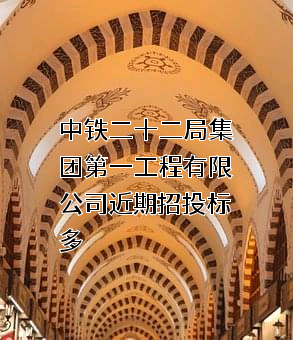 中铁二十二局集团第一工程有限公司