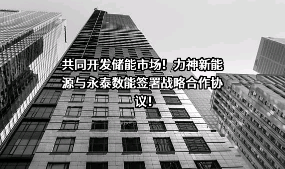 深圳永泰数能科技有限公司