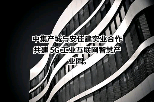 深圳市安佳建实业发展有限公司