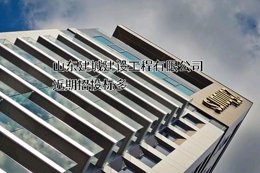 山东建城建设工程有限公司