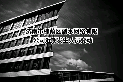 济南市槐荫区副水网络有限公司