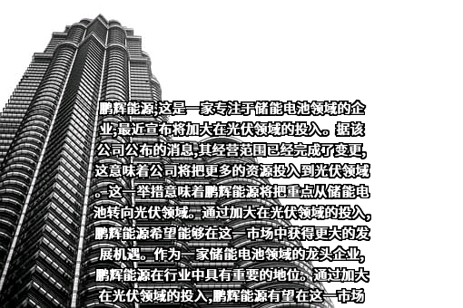 广州鹏辉能源科技股份有限公司