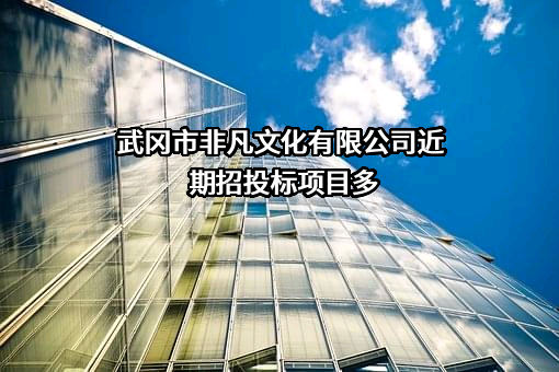 武冈市非凡文化有限公司近期招投标项目多