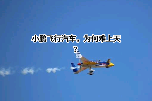 广州橙行智动汽车科技有限公司