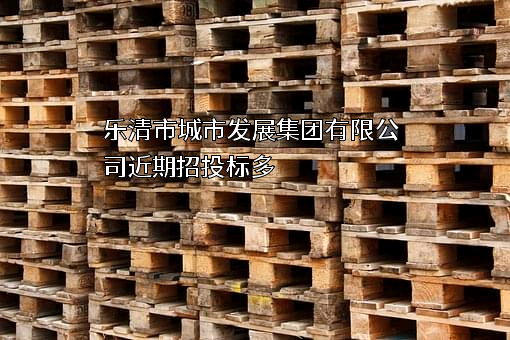 乐清市城市发展集团有限公司