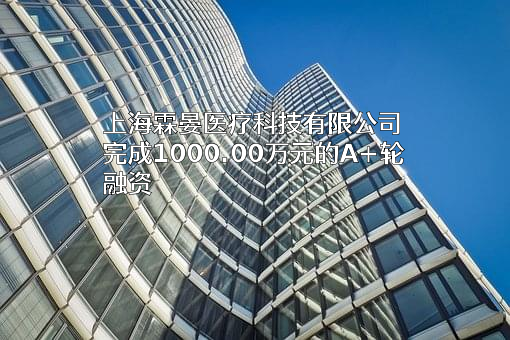 上海霖晏医疗科技有限公司
