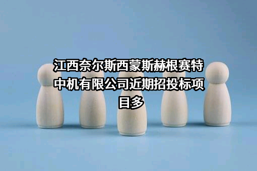 江西奈尔斯西蒙斯赫根赛特中机有限公司