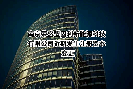 南京荣盛盟固利新能源科技有限公司