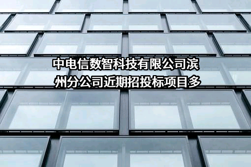 中电信数智科技有限公司滨州分公司近期招投标项目多