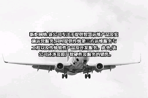上海新炬网络信息技术股份有限公司