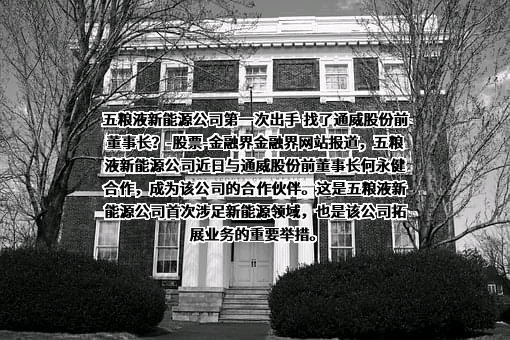 高景太阳能股份有限公司