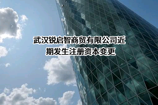 武汉锐启智商贸有限公司