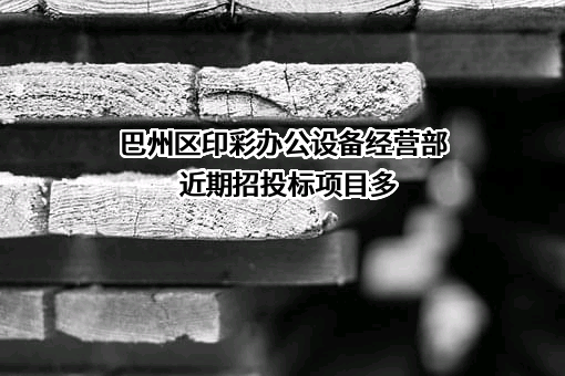 巴州区印彩办公设备经营部