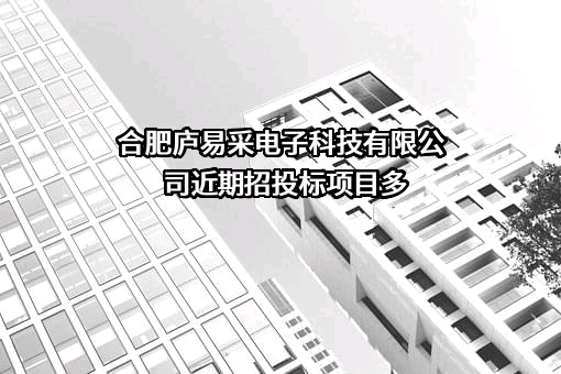 合肥庐易采电子科技有限公司近期招投标项目多