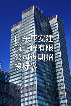 山东亚安建筑工程有限公司