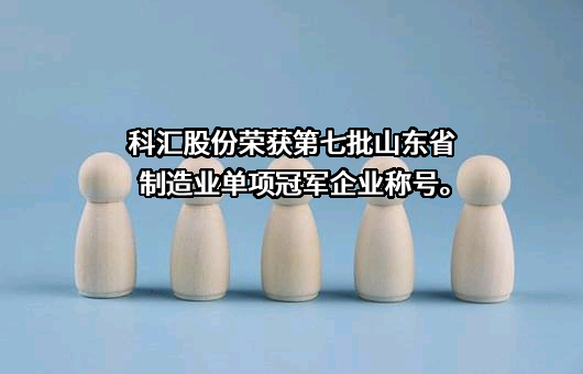 山东科汇电力自动化股份有限公司