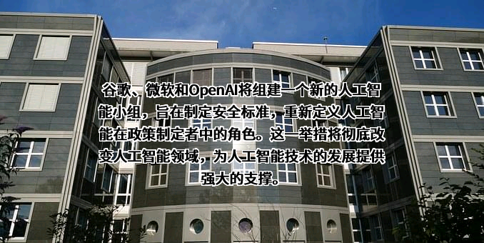 微软（中国）有限公司