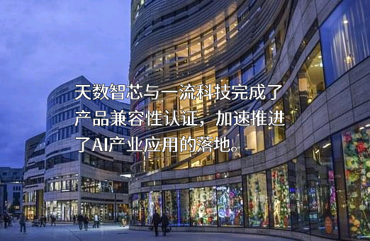 上海天数智芯半导体有限公司